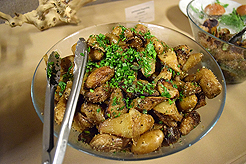 CAMP EVAN BAR MITZVAH